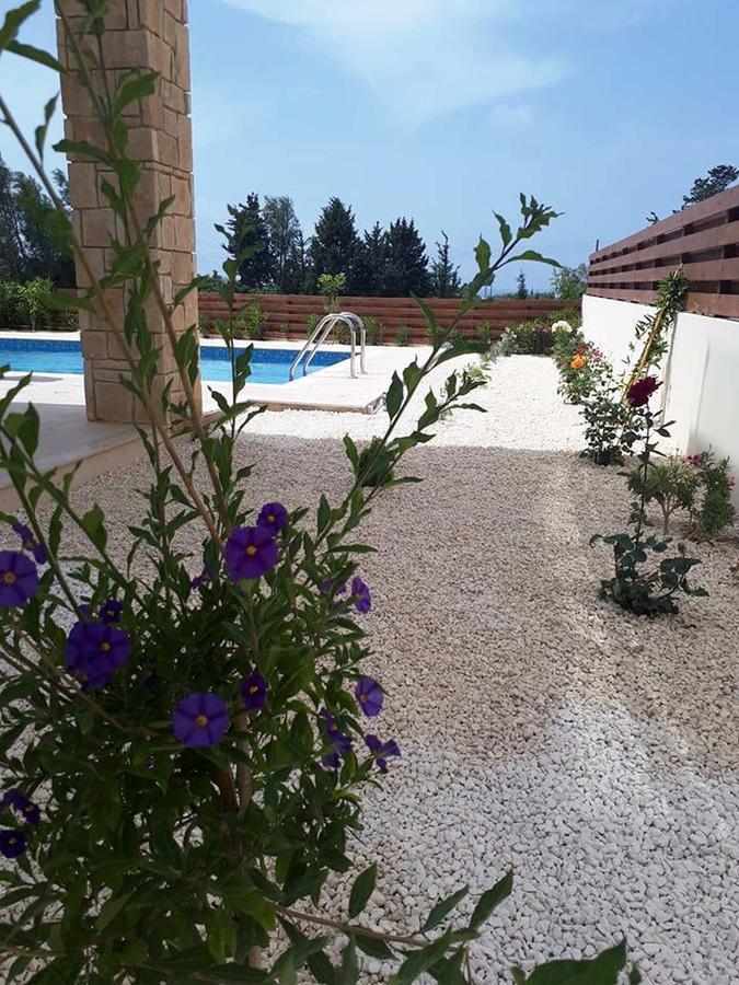 Olivia Villa 63 Pafos Zewnętrze zdjęcie